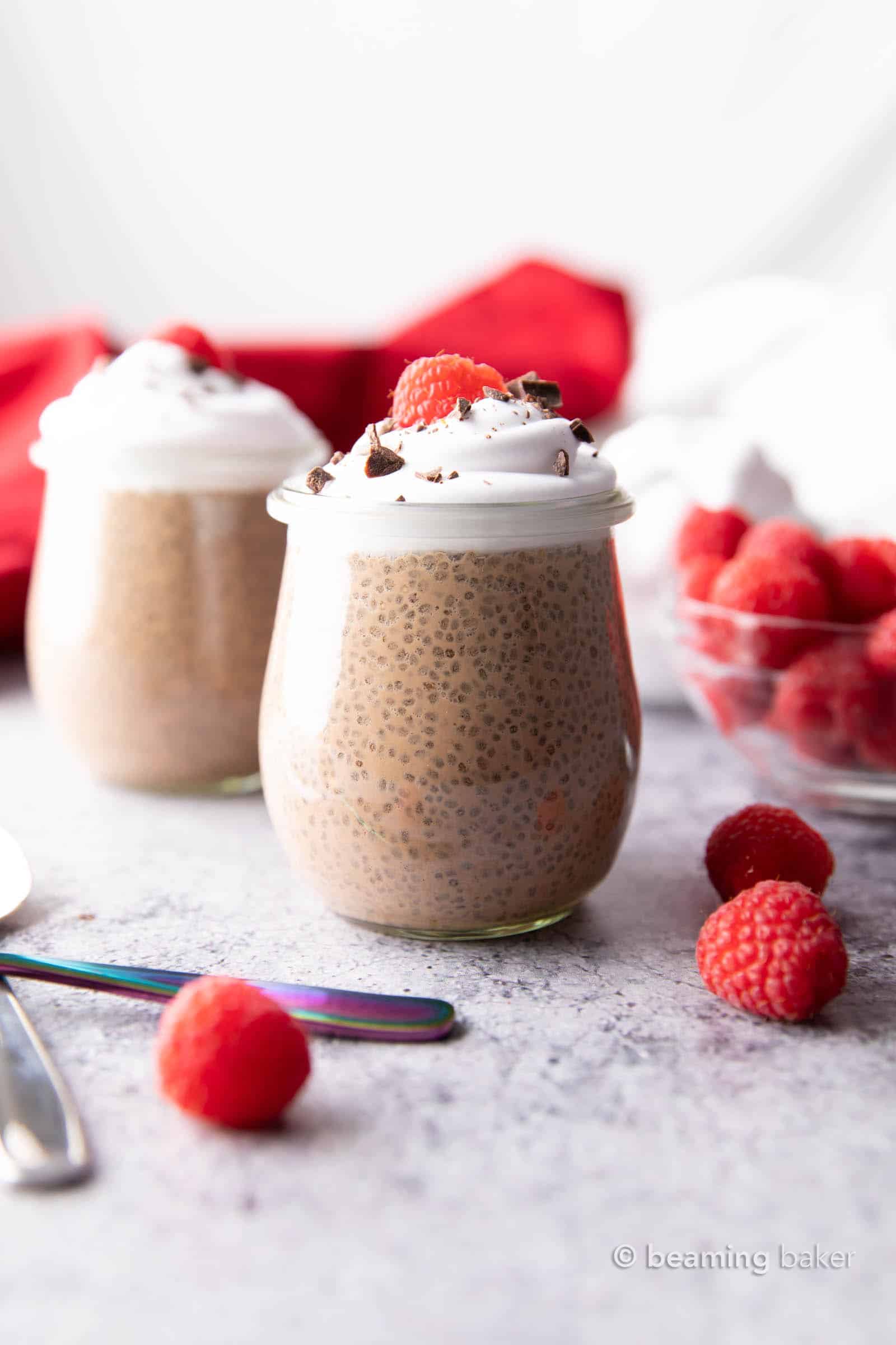 chocolate chia seed pudding with coconut milk topped with raspberries